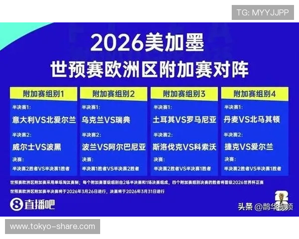 2026年世界杯参赛队伍最新预测及详细分析，全面了解各国晋级情况